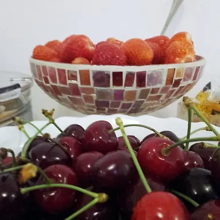 Garni Family Beograd